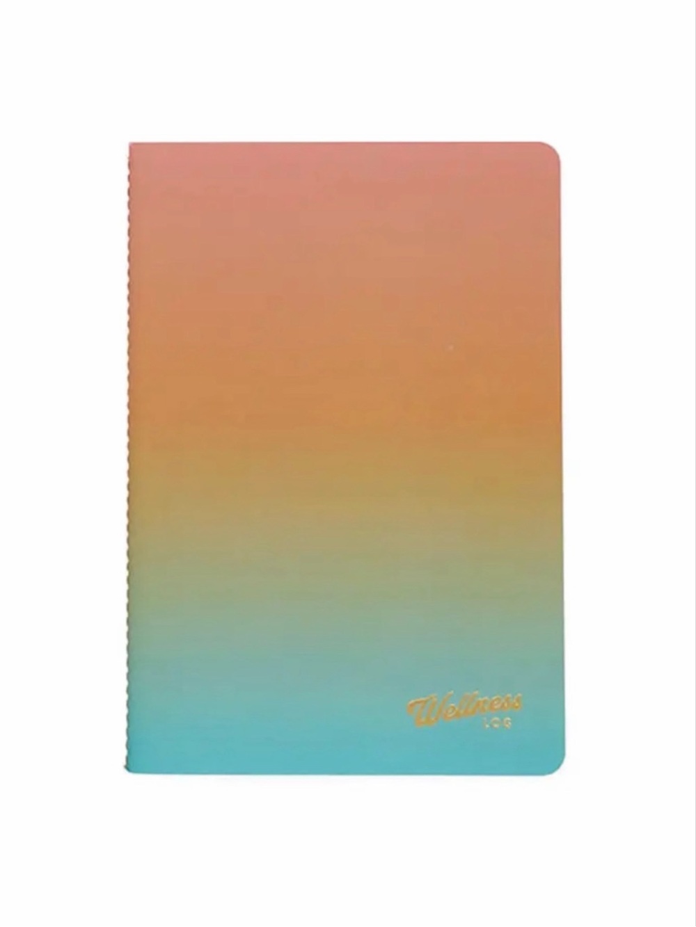 Erin Condren Colorblends Wellness Log Petite Planner